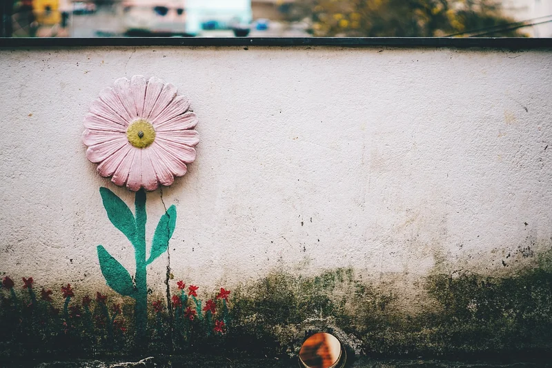 Sélection des plantes : ne faites pas l’erreur que j’ai faite